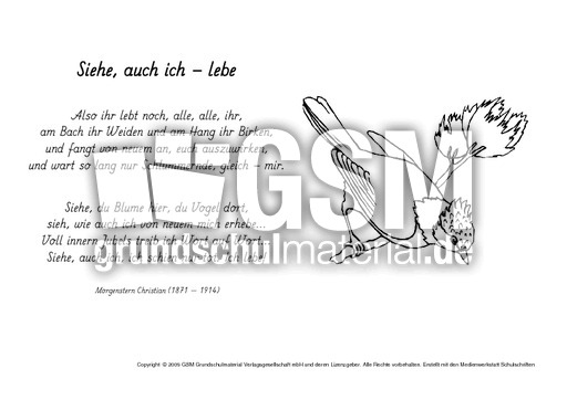 M-Siehe-auch-ich-lebe-Morgenstern.pdf